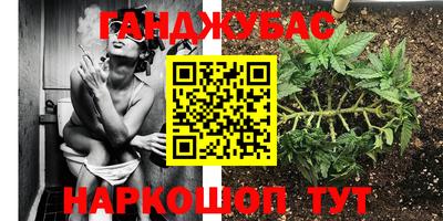 mix Ставрополь