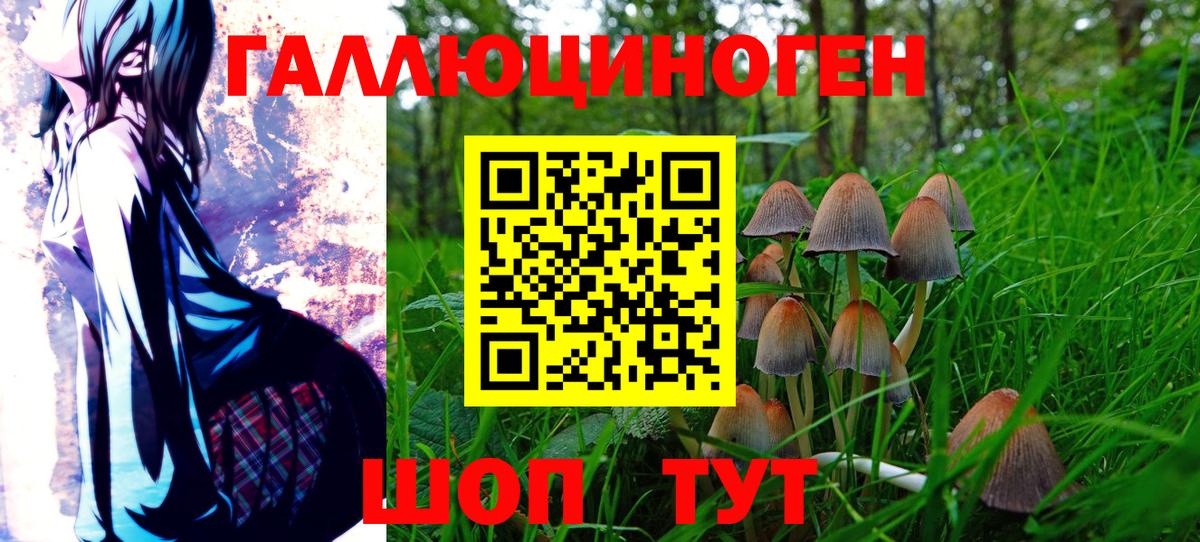 Псилоцибиновые грибы Magic Shrooms  Вход с VPN  Первоуральск  Псилоцибиновые грибы GOLDEN TEACHER 
